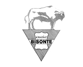 Bisonte cuoio